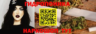Альфа ПВП Гусев